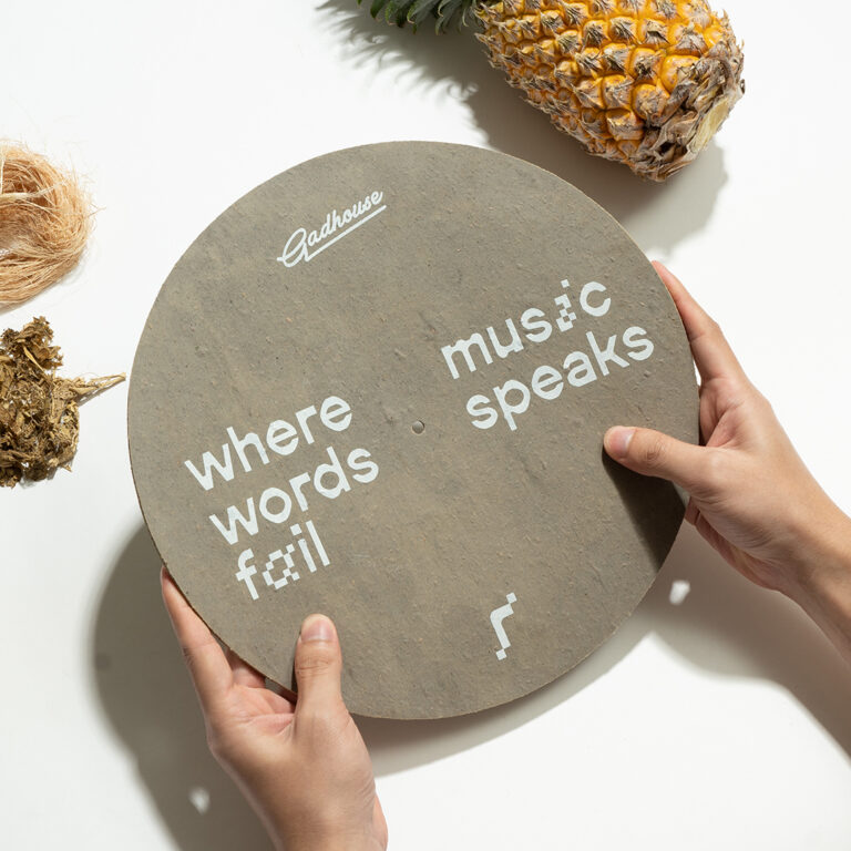 แผ่นรองแผ่นเสียง Fruitmat Slipmat