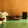 HENRY Hi-fi Turntable with Bookshelf speakers