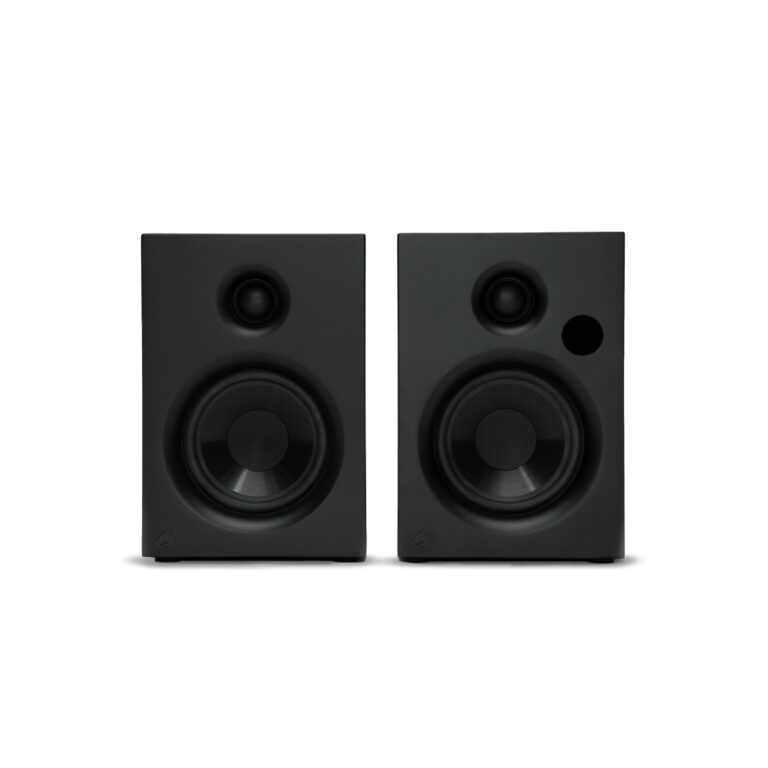 ROY Hi-Fi Bookshelf Speakers
